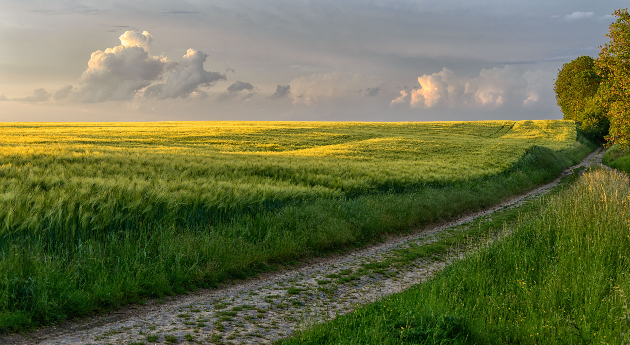 Beauvechain - paysage