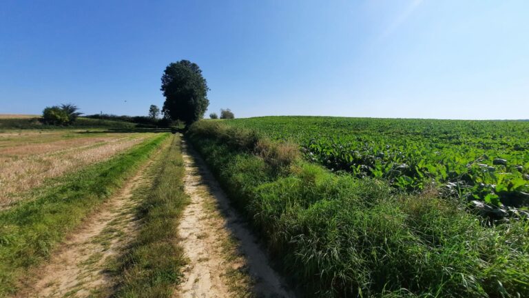 Conseil communal du 26 mai 2025 : ce qu&rsquo;il faut retenir