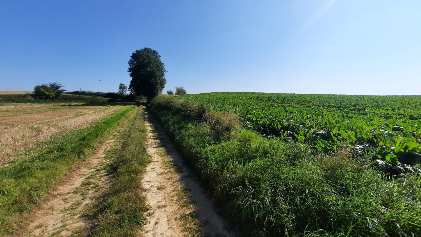 Conseil communal du 26 mai 2025 : ce qu’il faut retenir