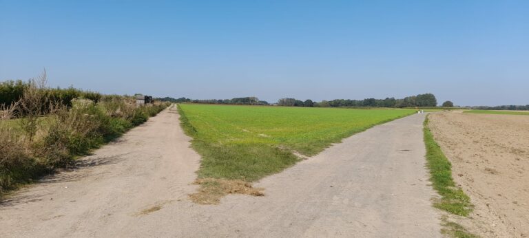 Schéma de Développement Communal : une occasion manquée pour la démocratie locale