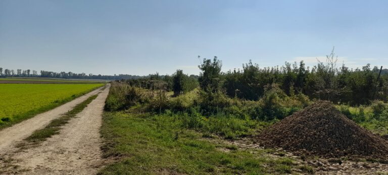 Nos propositions pour le Conseil communal du 26 mai 2025