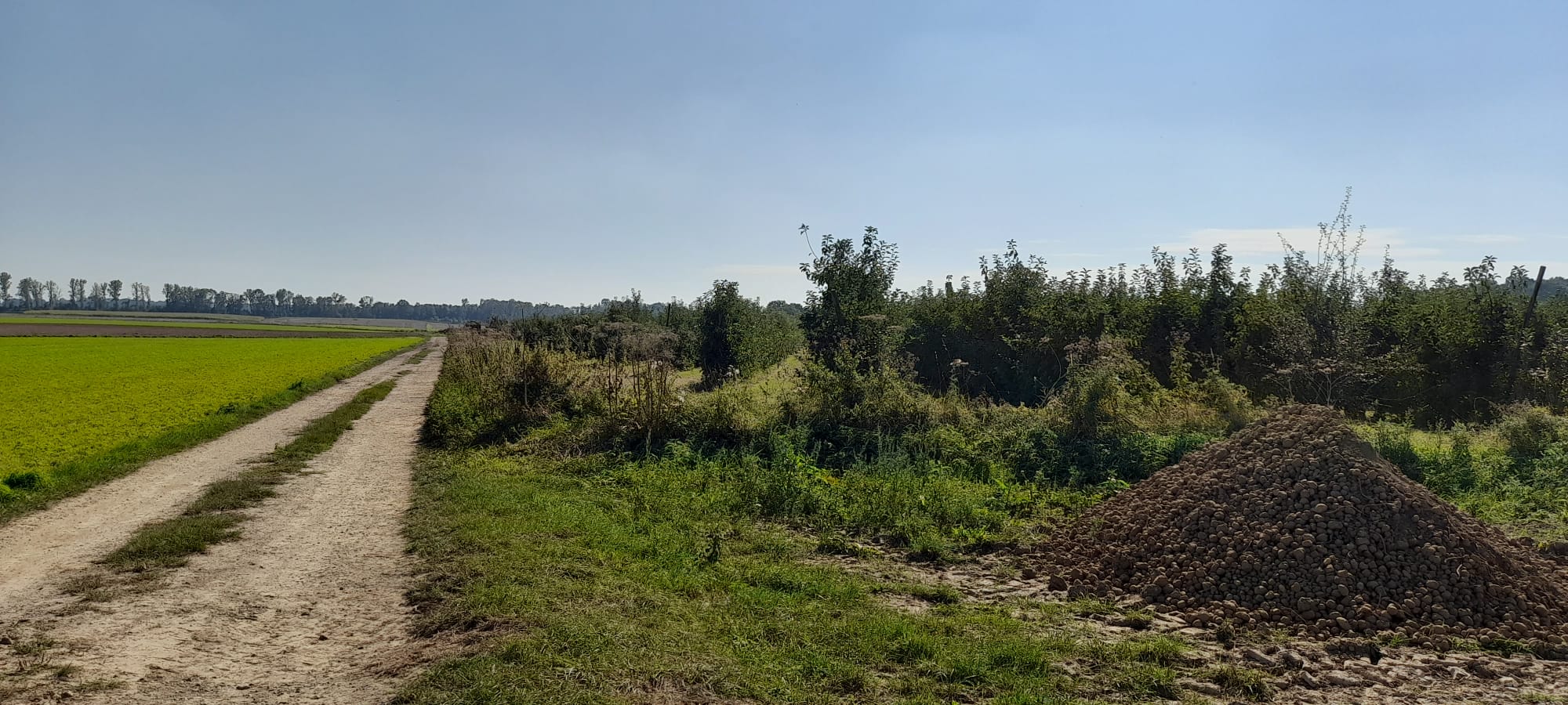 Nos propositions pour le Conseil communal du 26 mai 2025