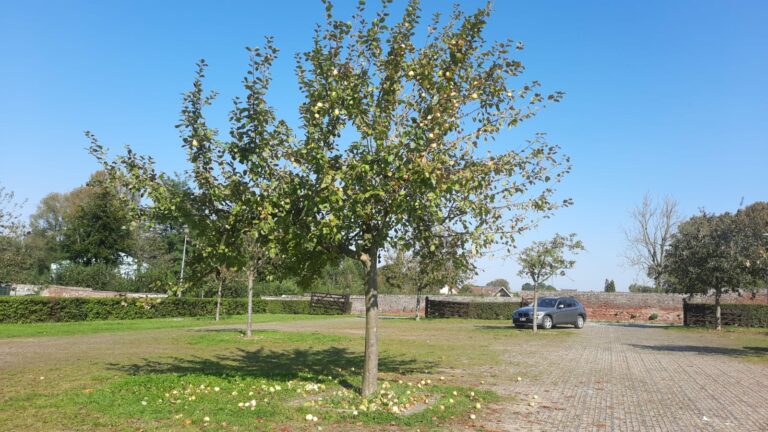 Brève du Conseil communal du 30 mars 2026