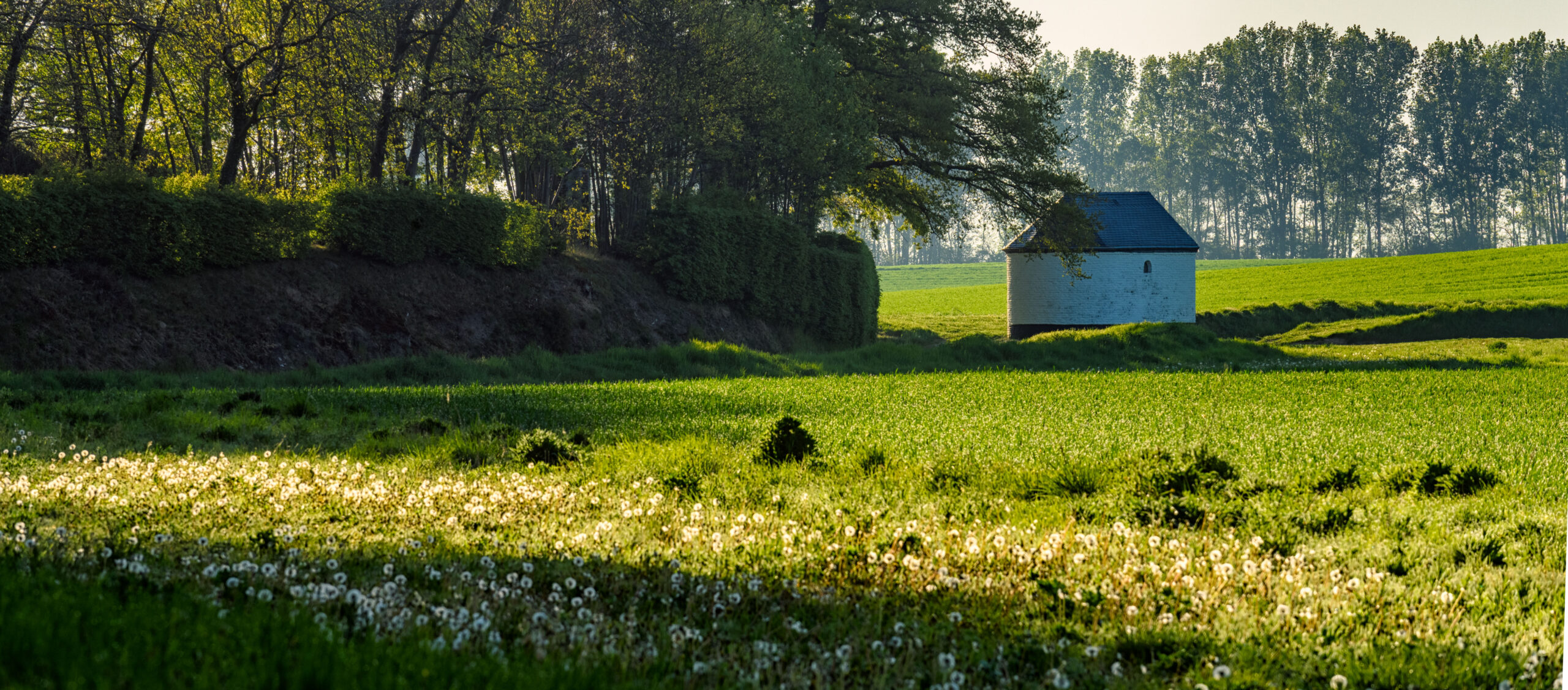 Conseil communal du 6 octobre 2025 : transparence, audit et participation citoyenne